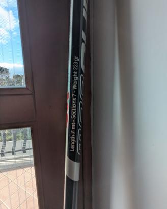 bolognese Milo morphing xs