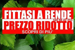 Stanze a Rende (CS) Singole o Doppie