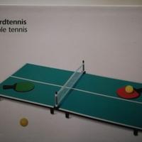 Ping Pong da tavolo