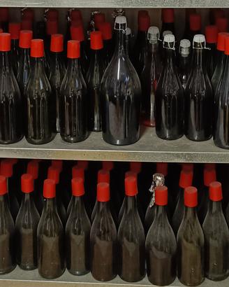 Bottiglie per vino 