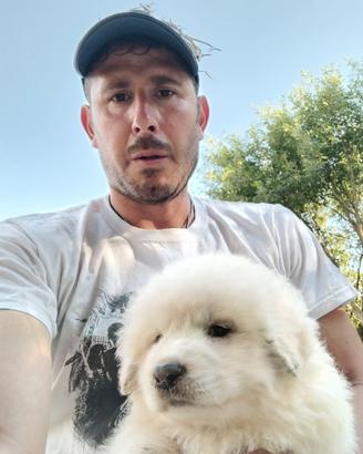 Pastore abruzzese