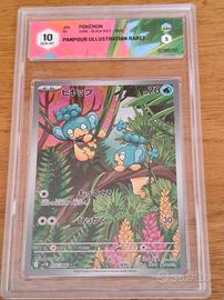 Panpour AR 105/086, JAP, GRAAD 10