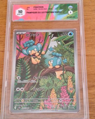 Panpour AR 105/086, JAP, GRAAD 10