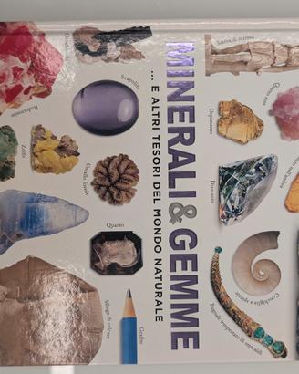 Libro Minerali e gemme Gribaudo DK nuovo

