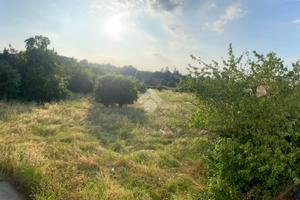 TERRENO A SALA BAGANZA