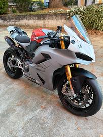 Ducati Panigale V2 - 2025