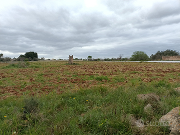 Terreno a 2.5 km da Santa Maria al bagno