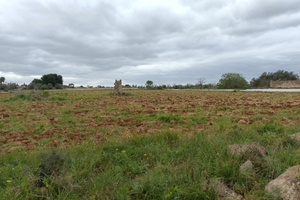 Terreno a 2.5 km da Santa Maria al bagno