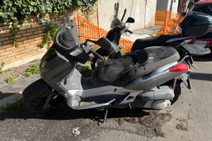 Scooter - Yamaha X- MAX 250