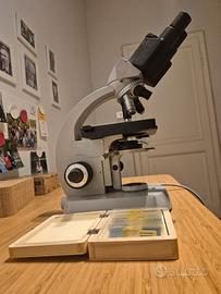 microscopio Zeiss West Germany+25 vetrini pronti