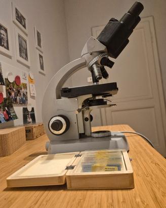microscopio Zeiss West Germany+25 vetrini pronti
