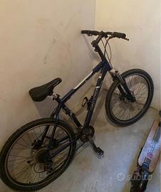 Giant Yukon - (SVENDITA)