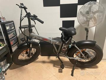 Bici elettrica TRATTABILE