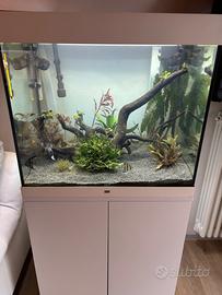 Acquario 200lt