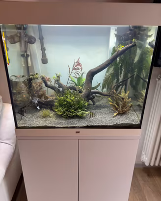 Acquario 200lt