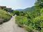 Immagine 14