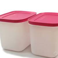 2 contenitori da 1.1.l tupperware