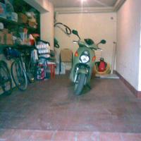 Signore 70 enne non fumatore, con referenze