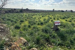 Terreno edificabile - Ugento