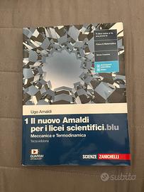 Il nuovo amaldi per i licei scientifici blu