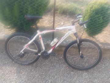 HARDROCK SPECIALIZED MOUNTANBIKE