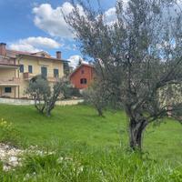 Terreno edificabile - Torricella Sicura