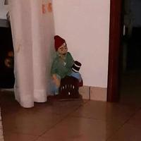 nano da giardino 