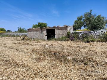 Terreno agricolo