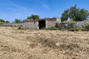 Terreno agricolo