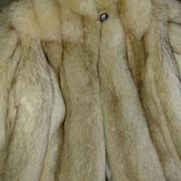 pelliccia volpe groenlandia