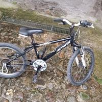 bicicletta da bambino/a