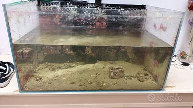 Acquario Extrachiaro 225 litri