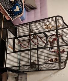 voliera per pappagalli 