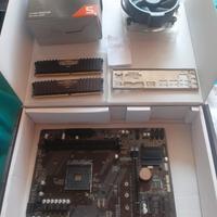 Combo 16 GB RAM, GIGABYTE A320M, DISSIPATORE AMD