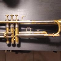 Tromba Martin Committee 