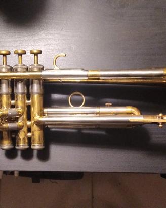Tromba Martin Committee 