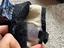 Immagine 3
