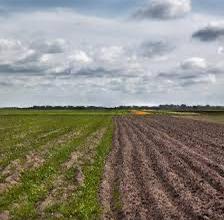 Terreno agricolo con impianto irrigazione