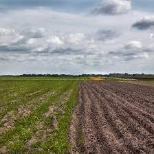 Terreno agricolo con impianto irrigazione