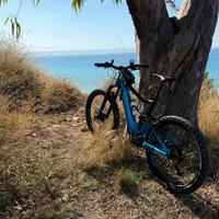 Ebike giant trance