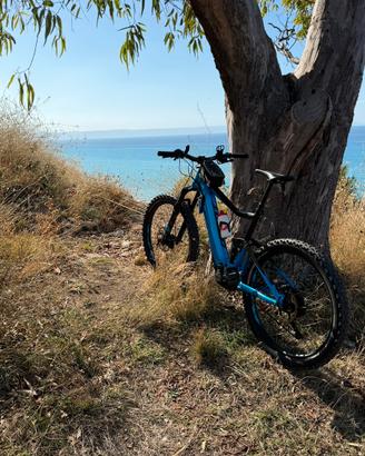 Ebike giant trance