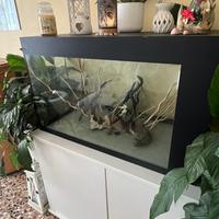 Aquario artigianale da 250 litri