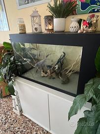 Aquario artigianale da 250 litri