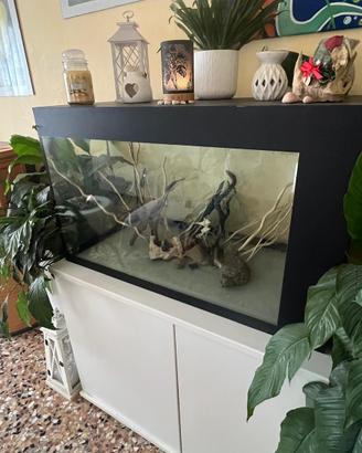 Aquario artigianale da 250 litri