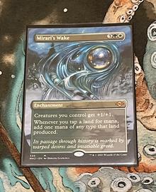 Risveglio del mirari