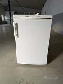 Congelatore Liebherr