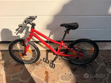 Bicicletta Specialized