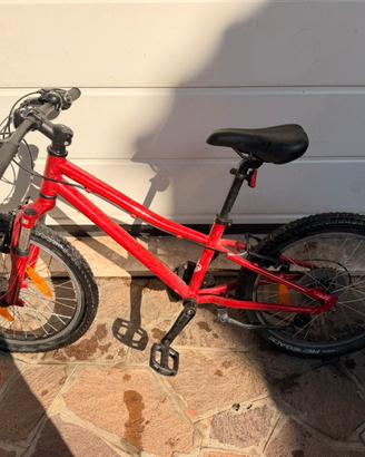 Bicicletta Specialized