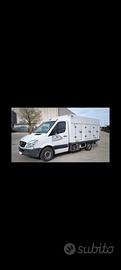 Mercedes Sprinter trasporto surgelati ATP 05/2028