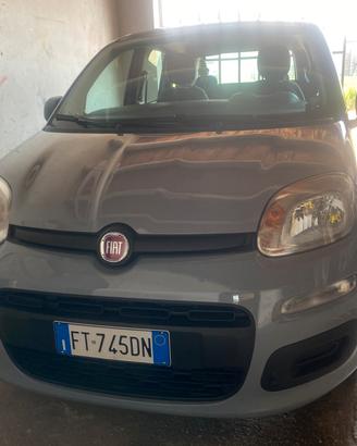 Fiat Panda 1.2 Benzina Easy (69 CV)- Solo 28557 km